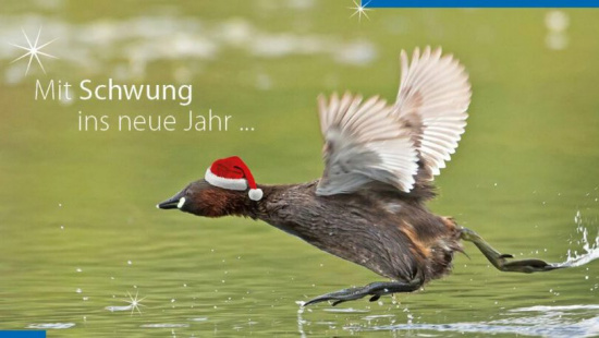 Mit Schwung ins Neue Jahr! Foto: Andreas Knoll