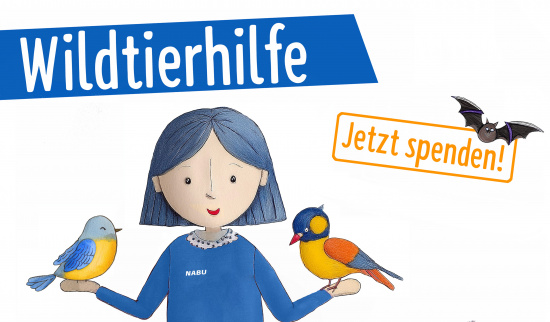 NABU-Wildtierhilfe Foto: Robert Beske/KI-Adobe Firefly