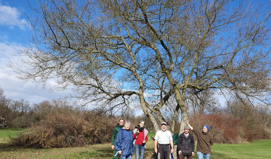 Stolze sechs Naturfreund:innen nach getaner Arbeit - die Benjeshecke steht Foto: Greenkeeper Golfplatz Ullersdorf