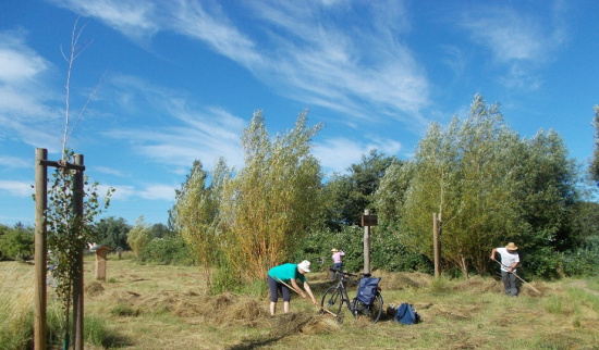 Arbeitseinsatz im Refugium Juli 2024 Foto: Sylvia Siebert