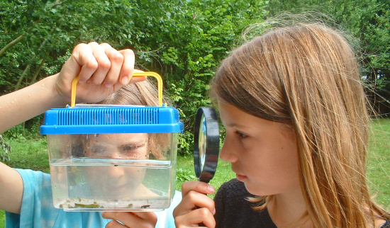 Leben im Wasser Foto: NABU Bremen