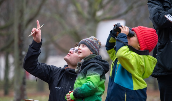 Familie zählt Wintervögel Foto: Sebastian Hennigs NABU