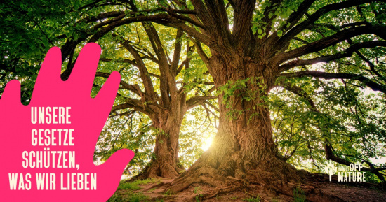 Petition - Hände weg vom Naturschutz Foto: NABU Bundesverband