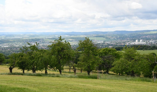 Blick vom Schönfelder Hochland in die Dresdner Elbtalweitung Foto: Lutz Hennig